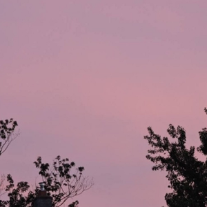 人善与videos欧美3D
