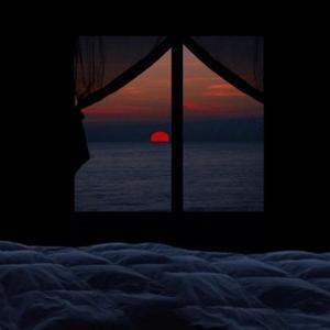 人善与videos欧美3D
