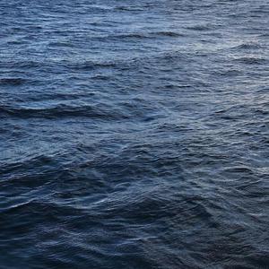 人善与videos欧美3D
